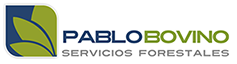 Pablo Bovino